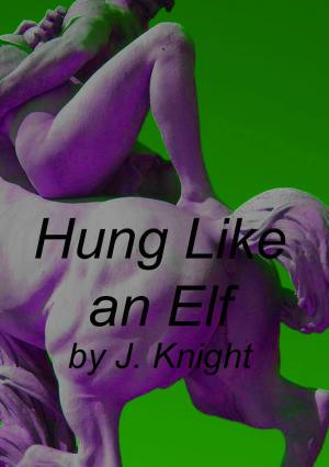 Cover of the book Hung Like an Elf by J. Knight