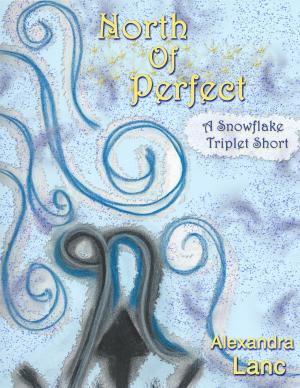 Cover of the book North Of Perfect (Tales of North #1 ~ A Snowflake Triplet Short) by Alexandra Lanc