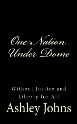 Cover of the book One Nation Under Dome: Without Justice and Liberty for All by Tora Moon