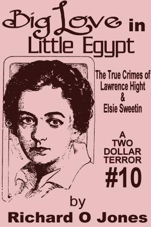 Book cover of Big Love in Little Egypt: The True Crimes of Lawrence Hight and Elsie Sweetin