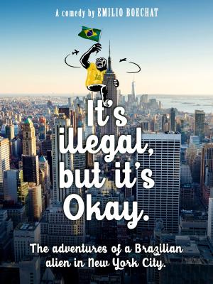 Cover of the book It's Illegal, But It's Okay by Danielle Stewart