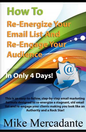 Book cover of How To Re-Energize Your Email List & Re-Engage Your Audience In Only 4 Days
