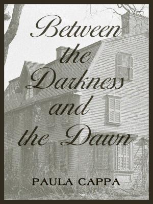 Book cover of Between the Darkness and the Dawn, A Short Story