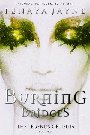 Cover of the book Burning Bridges by E. P. Beaumont