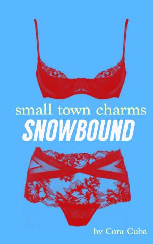 Cover of Small Town Charms 3: Snowbound