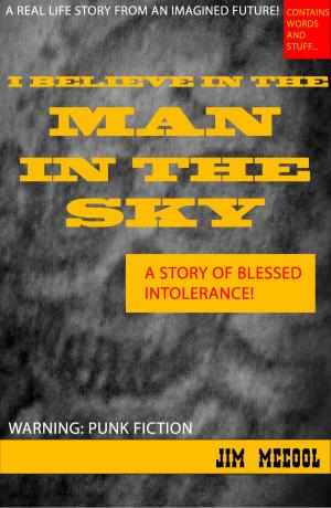 Book cover of I Believe In The Man In The Sky