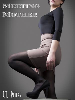 Cover of Meeting Mother