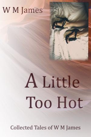 Book cover of A Little Too Hot: Collected Tales of W M James