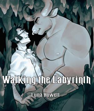 Cover of the book Walking the Labyrinth by Robin D. Owens