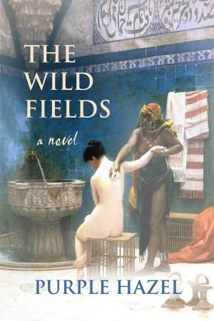 bigCover of the book The Wild Fields by 