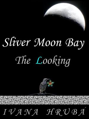 Cover of the book Sliver Moon Bay: The Looking by Kathlyn Grace