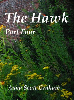 Cover of The Hawk: Part Four