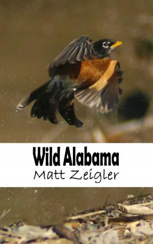 Book cover of Wild Alabama