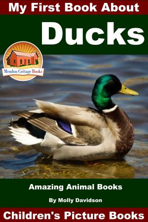bigCover of the book My First Book About Ducks: Amazing Animal Books - Children's Picture Books by 