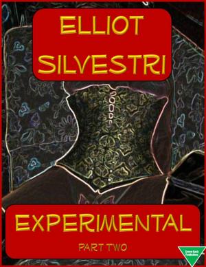 Cover of the book Experimental Part Two by Persephone Moore