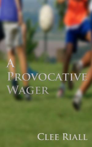 Cover of the book A Provocative Wager by Fabienne Dubois