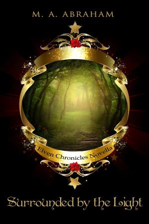 Cover of the book Surrounded by the Light by Craig Morrow
