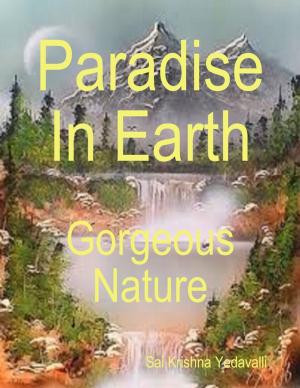 Cover of the book Paradise In Earth by Virinia Downham