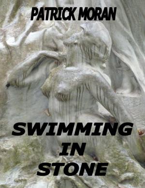 Cover of the book Swimming In Stone by Melanie White