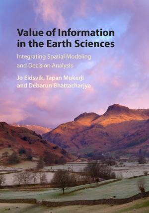 Cover of the book Value of Information in the Earth Sciences by Edalfo Lanfranchi