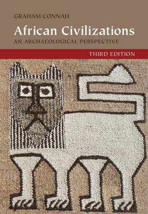 Cover of the book African Civilizations by James Vernon