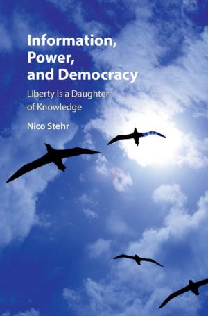 Cover of the book Information, Power, and Democracy by Thomas Roe, Matthew Happold, James Dingemans QC