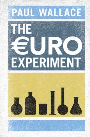 Cover of the book The Euro Experiment by Donald T.  Critchlow