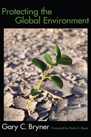 Cover of the book Protecting the Global Environment by Douglas K. Brumbaugh