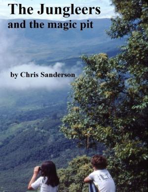 Cover of the book The Jungleers and the Magic Pit by C.N Chris