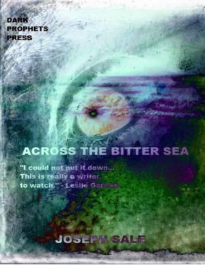 Cover of the book Across the Bitter Sea by Shirley J. Hansen, Ph.D., H.E. Burroughs, CIAQP