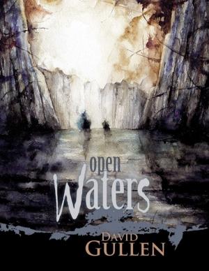 Cover of the book Open Waters by Mike Hockney