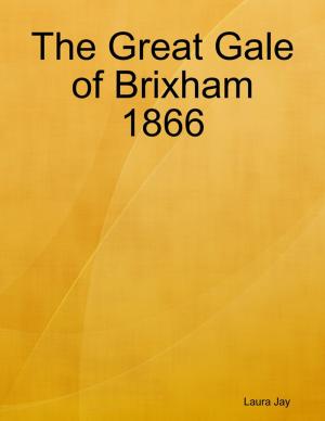 Cover of the book The Great Gale of Brixham 1866 by Oluwagbemiga Olowosoyo
