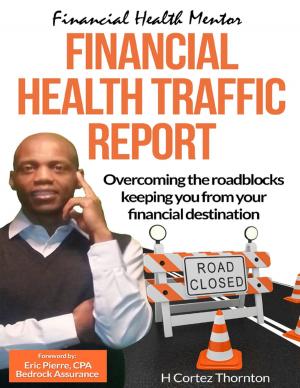 Cover of the book Financial Health Traffic Report by Kenichi Sobu