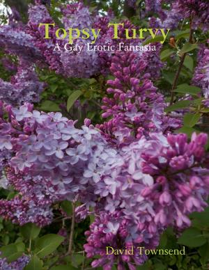 Cover of the book Topsy Turvy: A Gay Erotic Fantasia by Geraldine Allie