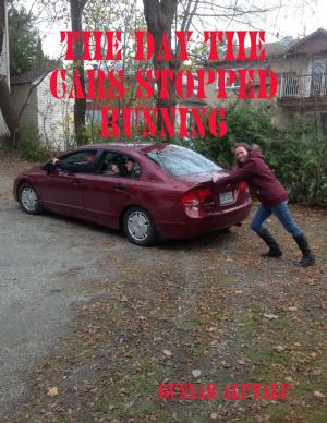 Cover of the book The Day the Cars Stopped Running by Ariana Burgan