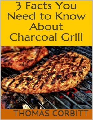 Cover of the book 3 Facts You Need to Know About Charcoal Grill by Doreen Milstead