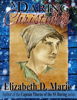 Cover of the book A Daring Christmas by Jill Vance, Lou Pizzi
