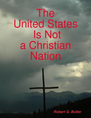 Cover of the book The United States Is Not a Christian Nation by David Hallamshire