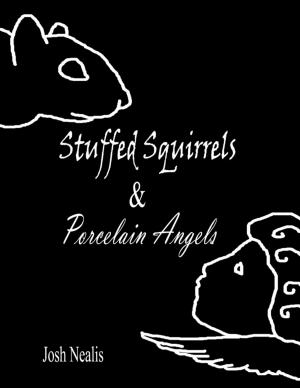 Cover of the book Stuffed Squirrels & Porcelain Angels by Wentworth Boughn