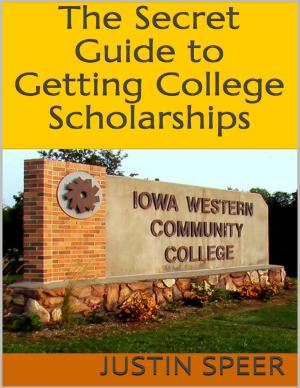 Book cover of The Secret Guide to Getting College Scholarships
