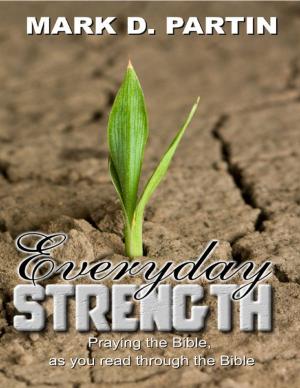 Cover of the book Everyday Strength by RC Ellis