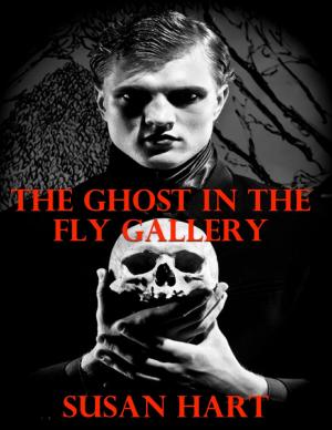 Cover of the book The Ghost In the Fly Gallery by D.E. White