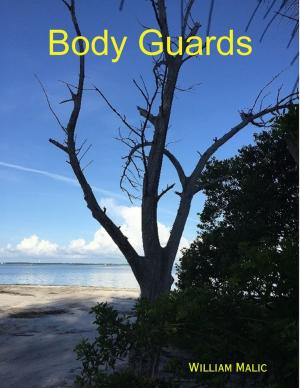 Cover of the book Body Guards by Hector Melo