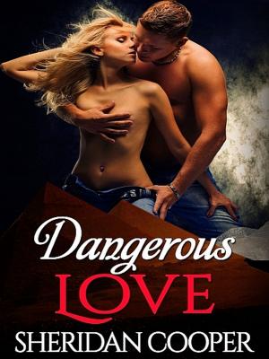 Cover of the book Dangerous Love by Zoe Melville