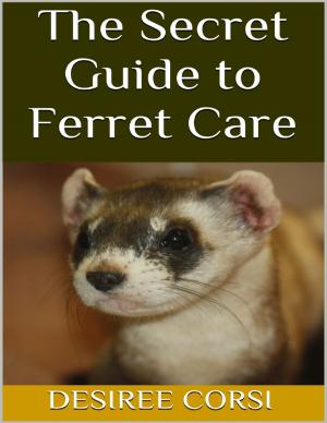 Cover of the book The Secret Guide to Ferret Care by Fabienne Marie Volcy, Martyne Anne Volcy