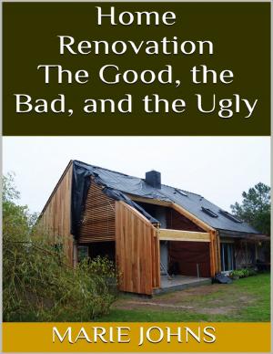Cover of the book Home Renovation: The Good, the Bad, and the Ugly by R Shelby