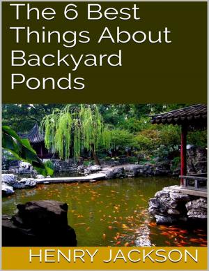 Cover of the book The 6 Best Things About Backyard Ponds by Jamaican Essene