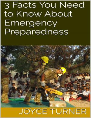 Cover of the book 3 Facts You Need to Know About Emergency Preparedness by Aurelio Harp