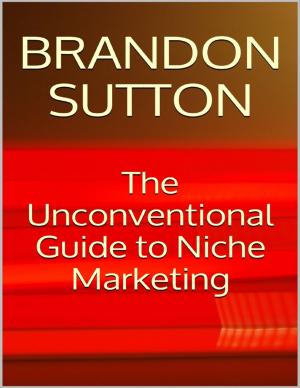 Cover of the book The Unconventional Guide to Niche Marketing by Robert Stetson