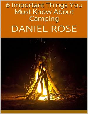 Cover of the book 6 Important Things You Must Know About Camping by B Duane Smith